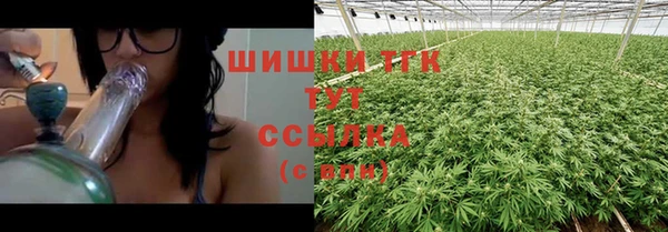 дживик Зеленокумск