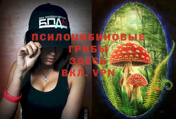 меф Инта
