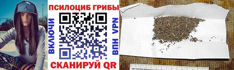Псилоцибиновые грибы Cubensis  где купить наркоту  Киренск 